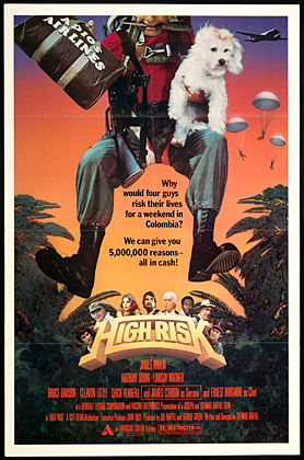 High Risk 1981 poster