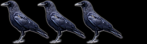 crow-coa rating